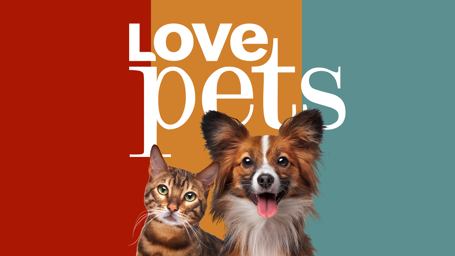 Love Pets